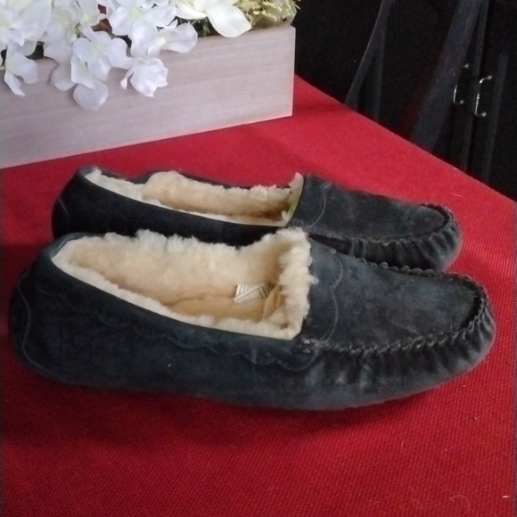 UGG Shoes - UGG DAKOTA SLIPPERS